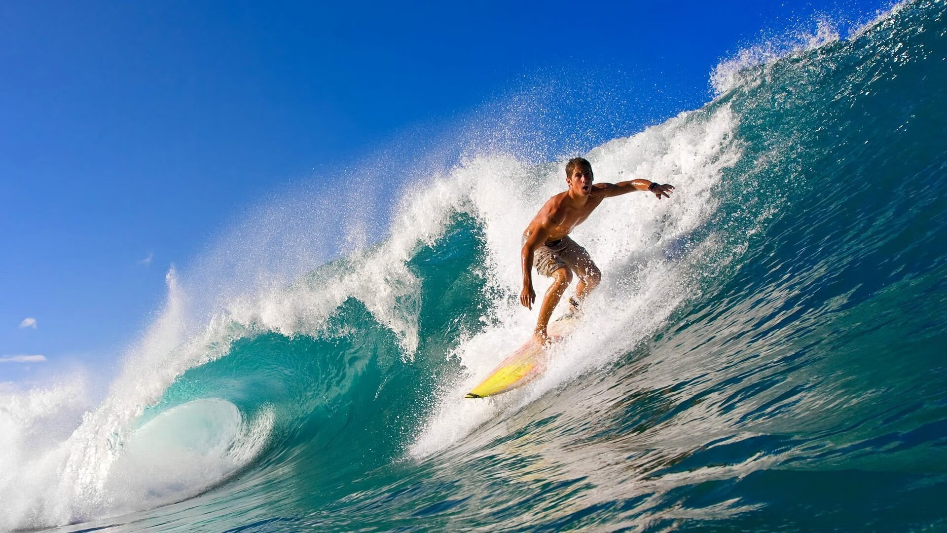 LOL赛事裁判：如何保证比赛的公平公正，lol赛事裁判_如何保证比赛的公平公正呢