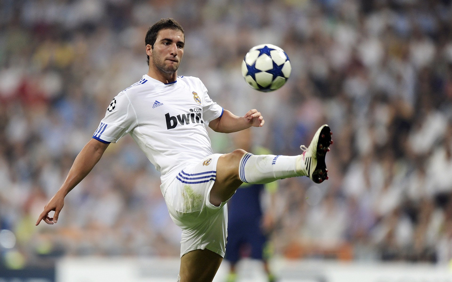 绿色战衣:环保标志在欧冠赛场的亮相,环保绿标车是什么车